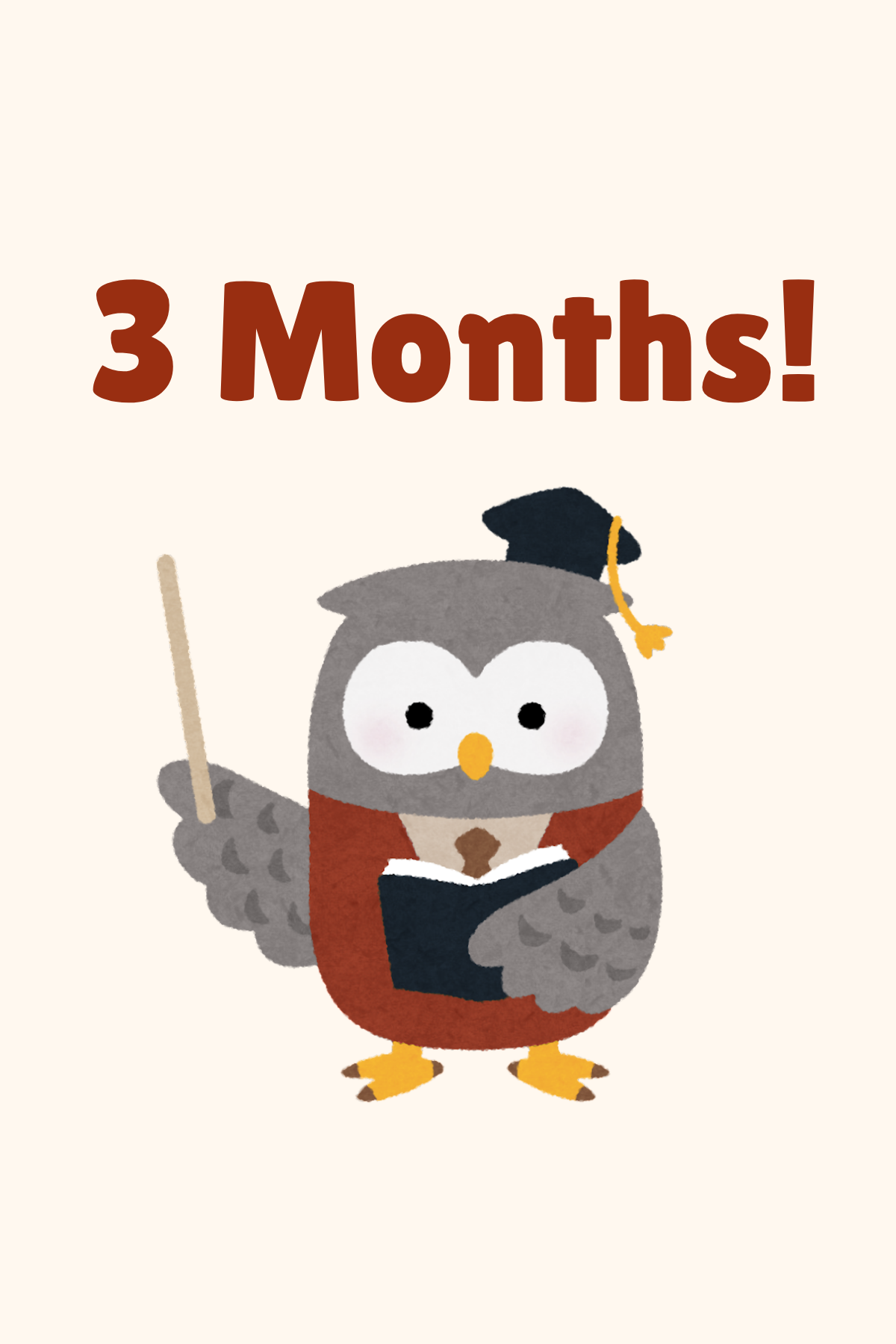 3 months owl
