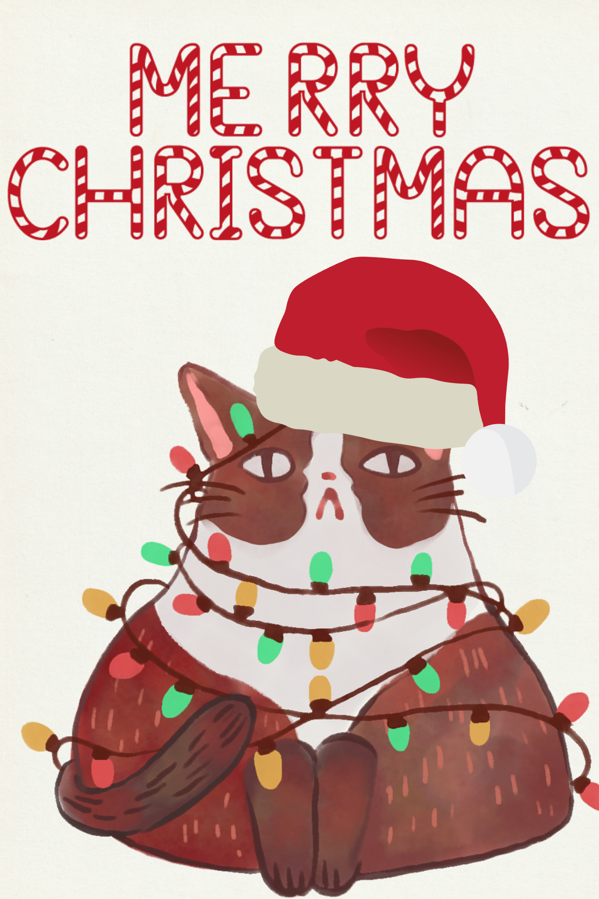 Christmas - Cat in Lights